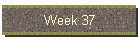 Week 37